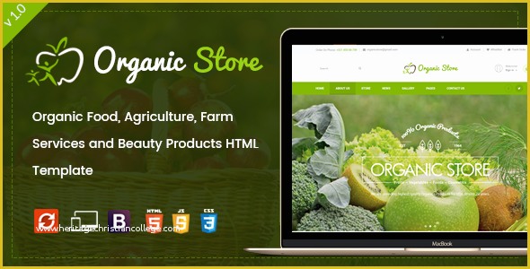 Beauty Products Website Templates Free Download Of organic Store organic Food Agriculture Farm Services
