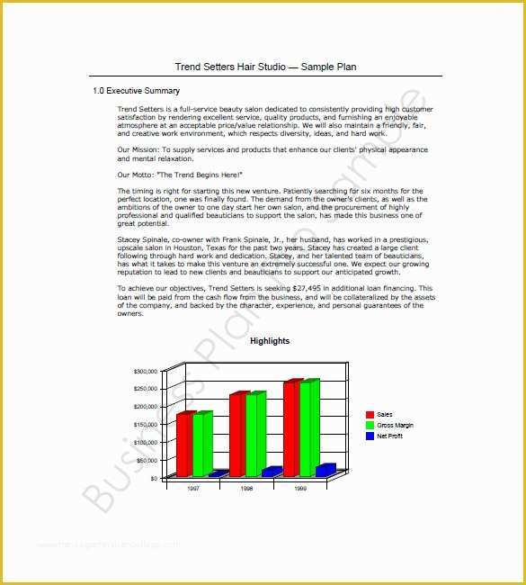 Beauty Salon Business Plan Template Free Of 12 Spa & Salon Business Plan Templates Google Docs Ms
