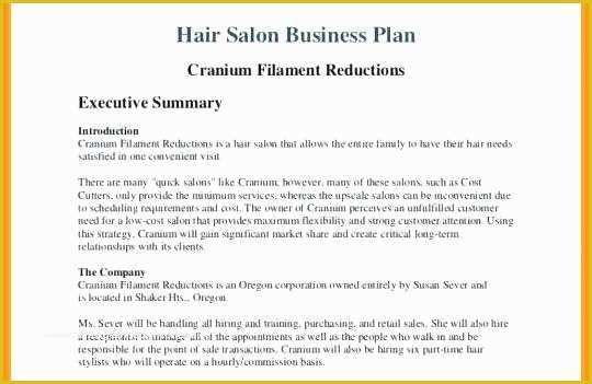 Beauty Salon Business Plan Template Free Of Business Plan for Beauty Salon Hair and Beauty Salon