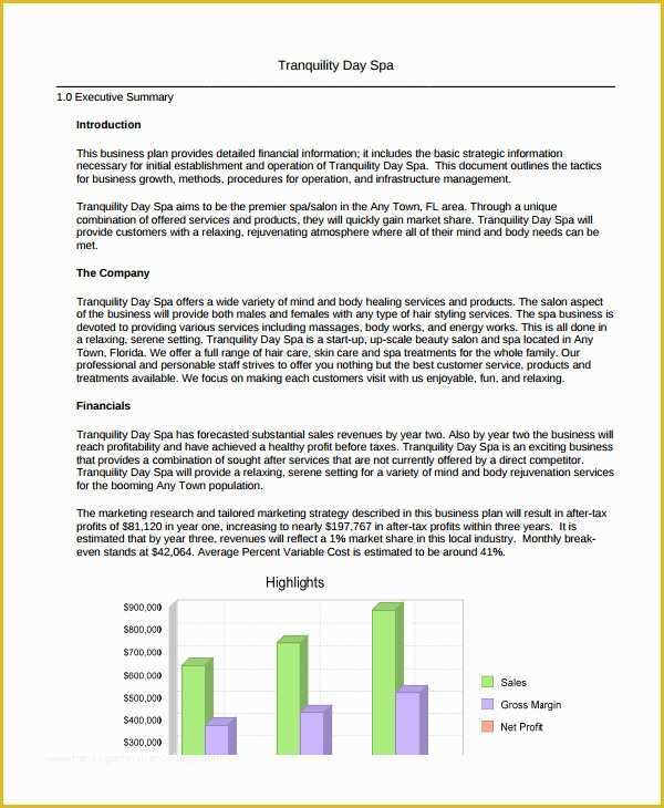 Beauty Salon Business Plan Template Free Of Spa & Salon Business Plan Template 10 Free Sample