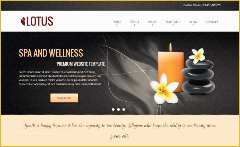 41 Beauty Spa Responsive Website Template Free Download