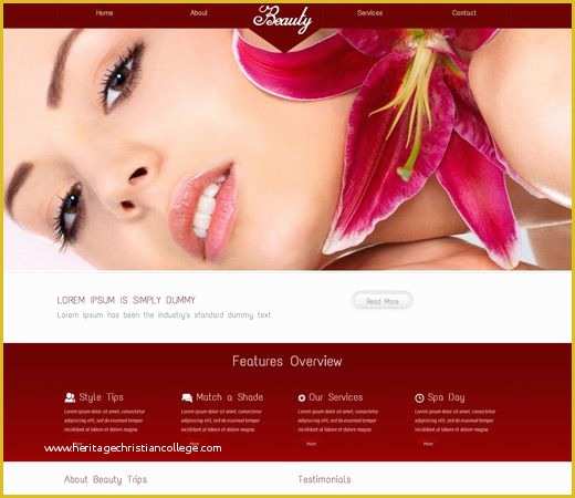 Beauty Spa Responsive Website Template Free Download Of Beauty Free Responsive HTML5 Css3 Mobileweb Template