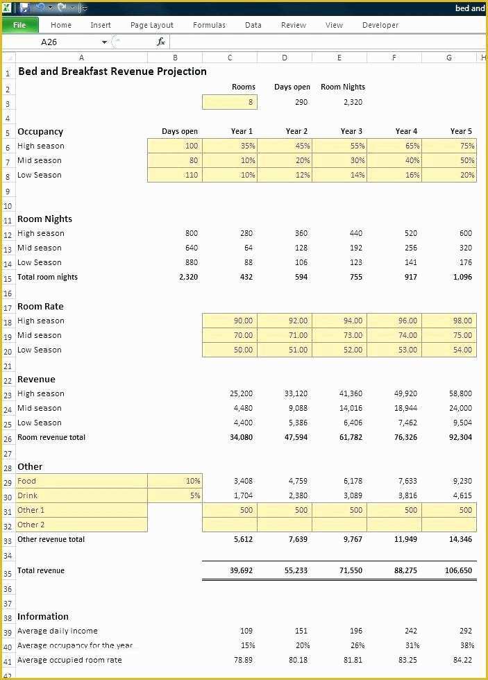 Bed and Breakfast Business Plan Template Free Of Pro forma Business Plan Template