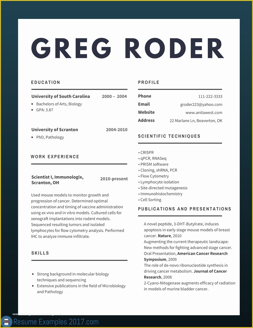 Best Free Resume Templates 2017 Of Best Cv Examples 2018 to Try