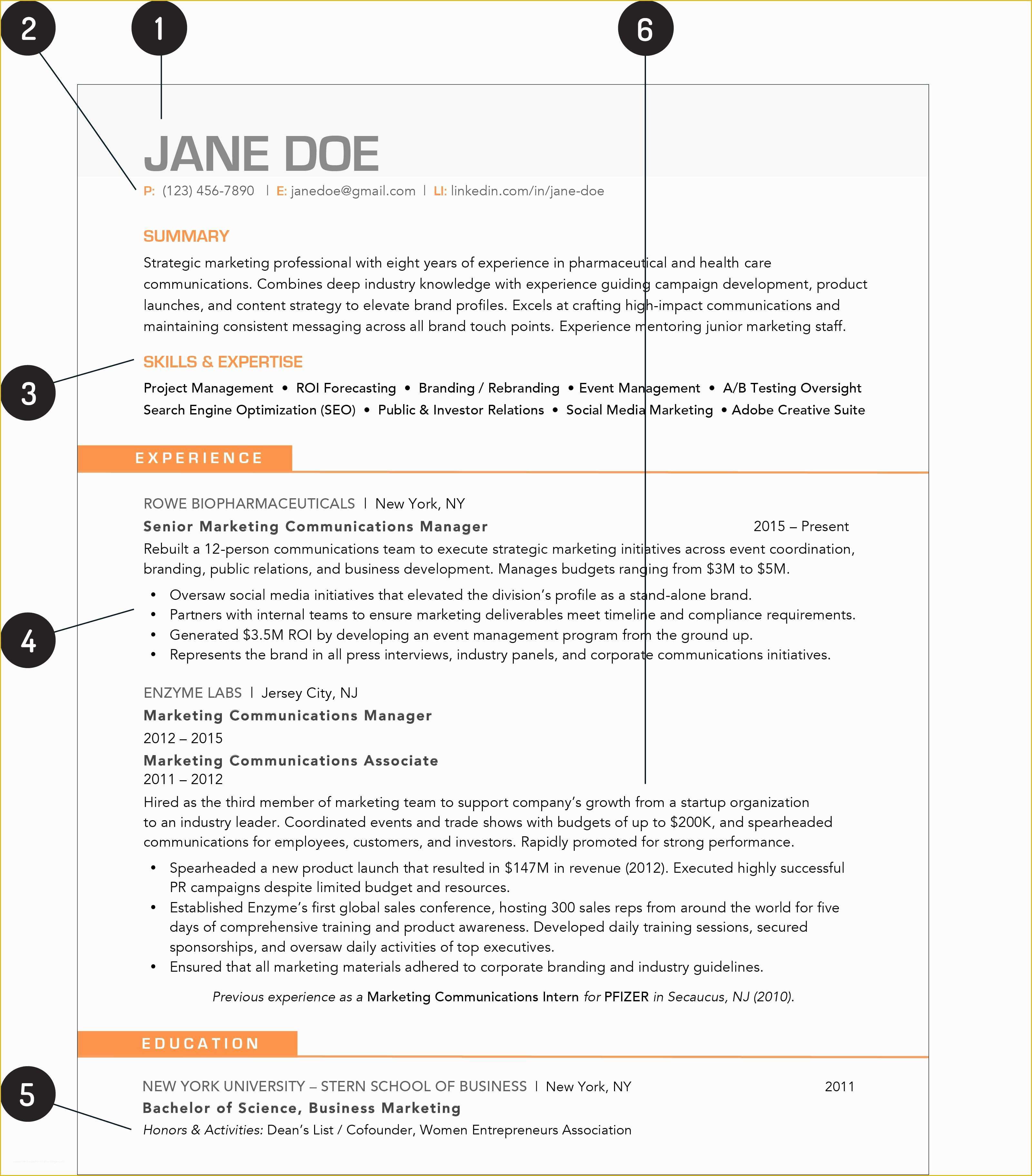 Best Free Resume Templates Of What Your Resume Should Look Like In 2019