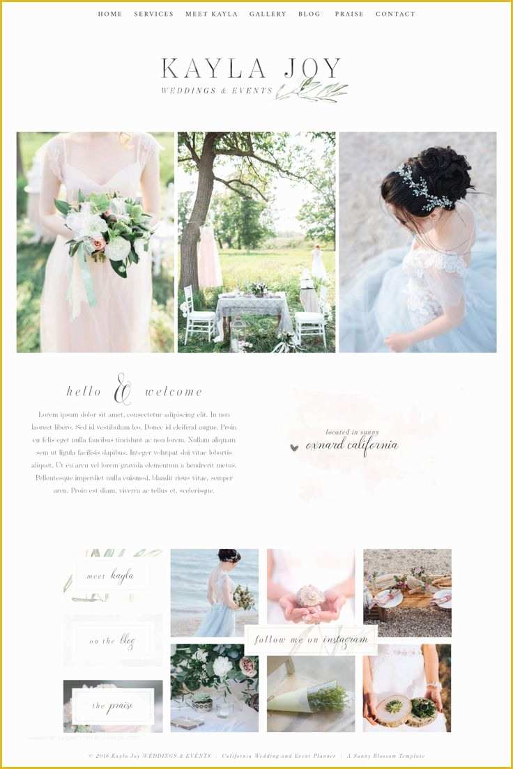 Best Free Wedding Website Templates Of 17 Best Ideas About Website Template On Pinterest