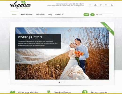 Best Free Wedding Website Templates Of 20 Best Wedding Website Templates Css HTML &amp; Wordpress