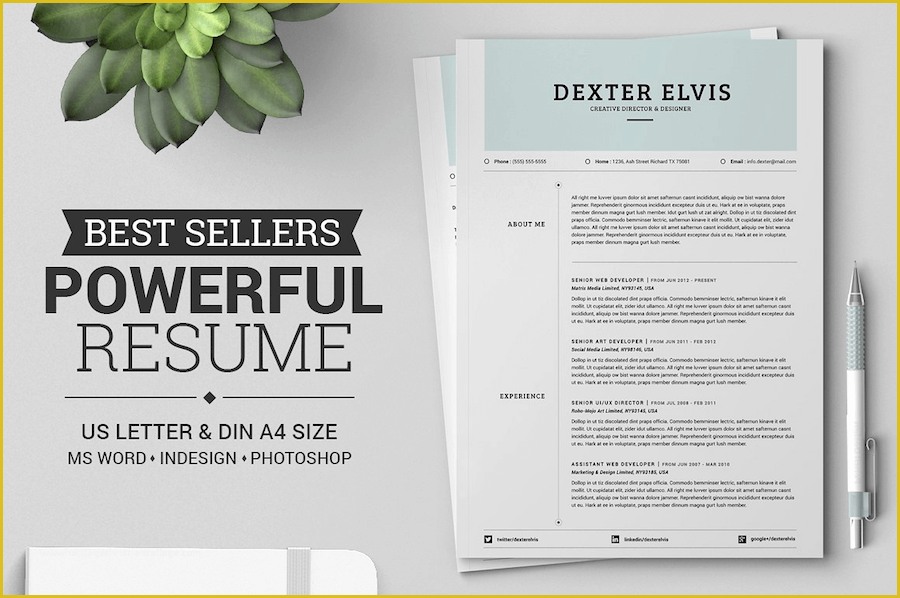 Best Resume Templates 2017 Free Of 50 Best Resume Templates for Word that Look Like Shop