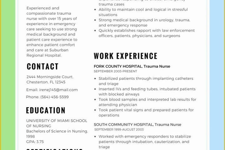 Best Resume Templates 2017 Free Of Resume Best format for Nurses 2018