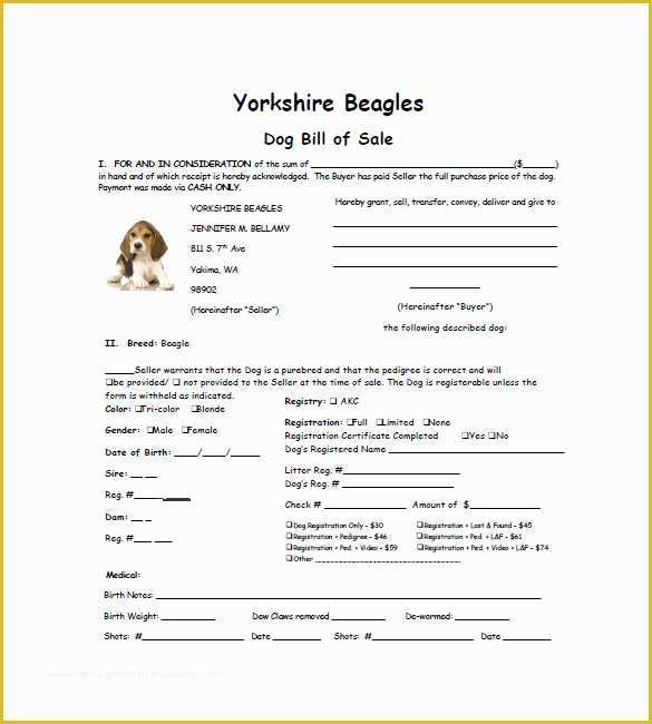 Bill Of Sale Dog Template Free Of Dog Bill Of Sale – 8 Free Sample Example format