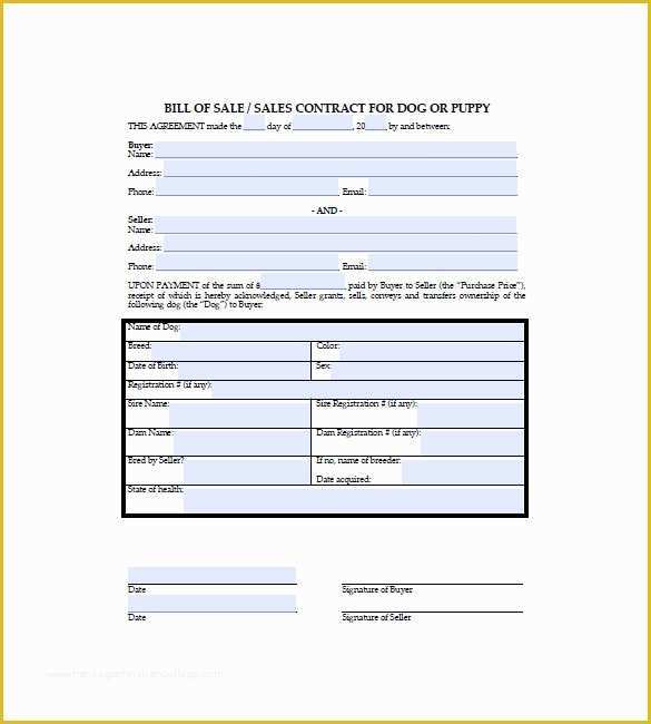 Bill Of Sale Dog Template Free Of Dog Bill Of Sale – 8 Free Sample Example format