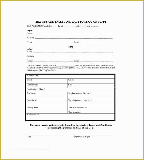 Bill Of Sale Dog Template Free Of Dog Bill Of Sale – 8 Free Sample Example format