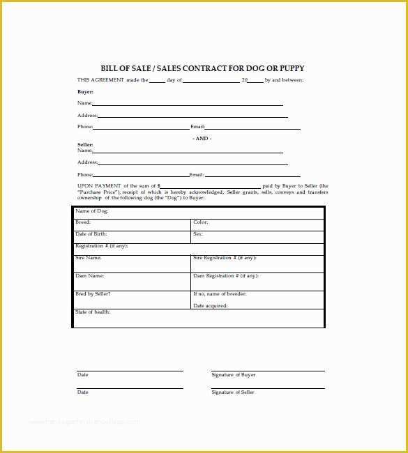 Bill Of Sale Dog Template Free Of Dog Bill Of Sale – 8 Free Sample Example format
