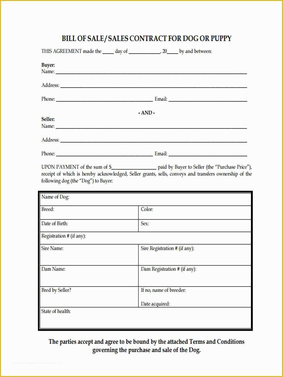 Bill Of Sale Dog Template Free Of Dog Bill Of Sale form 5 Free Documents In Pdf