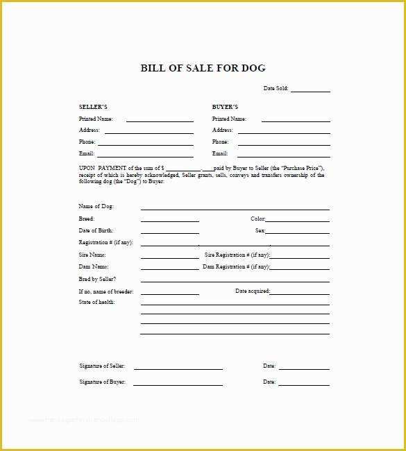 bill-of-sale-dog-template-free-of-dog-bill-of-sale-template-13-free