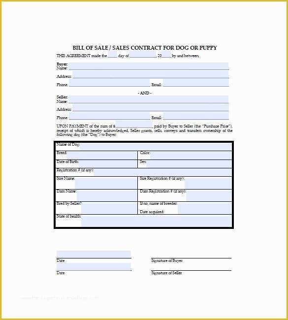 Bill Of Sale Dog Template Free Of Dog Bill Of Sale Template – 8 Free Word Excel Pdf