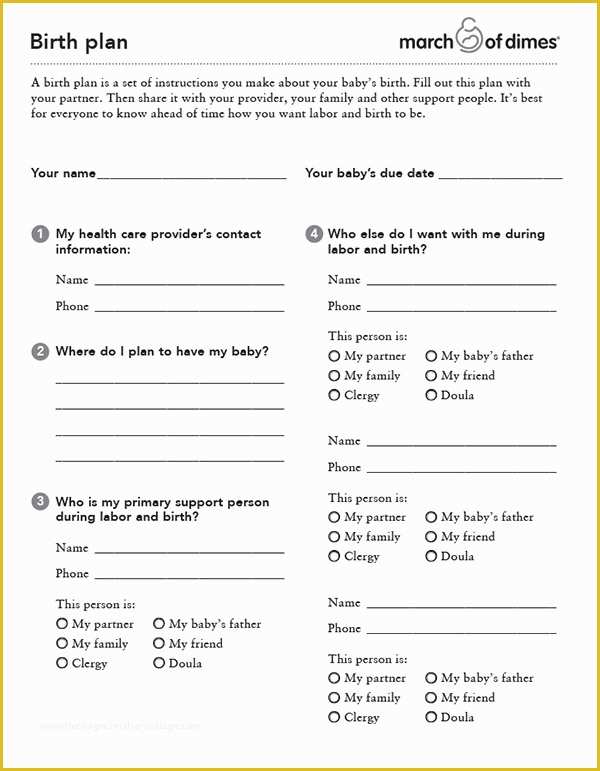 Birth Plan Template Free Of 22 Sample Birth Plan Templates – Pdf Word Apple Pages