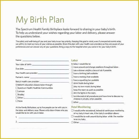 Birth Plan Template Free Of 22 Sample Birth Plan Templates – Pdf Word Apple Pages