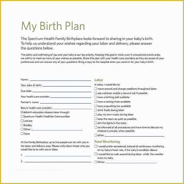 Birth Plan Template Free Of Items Similar to Printable Birth Plan ...