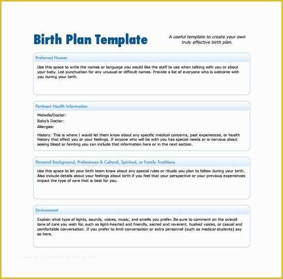 Birth Plan Template Free Of 22 Sample Birth Plan Templates – Pdf Word Apple Pages