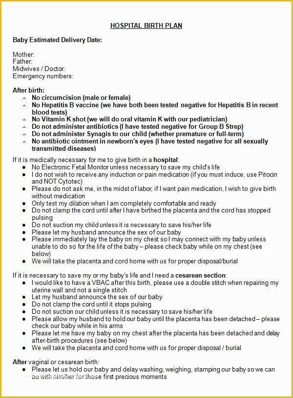 Birth Plan Template Free Of 22 Sample Birth Plan Templates – Pdf Word Apple Pages