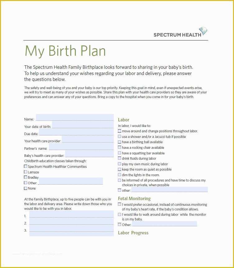 Birth Plan Template Free Of 47 Printable Birth Plan Templates [birth Plan Checklist