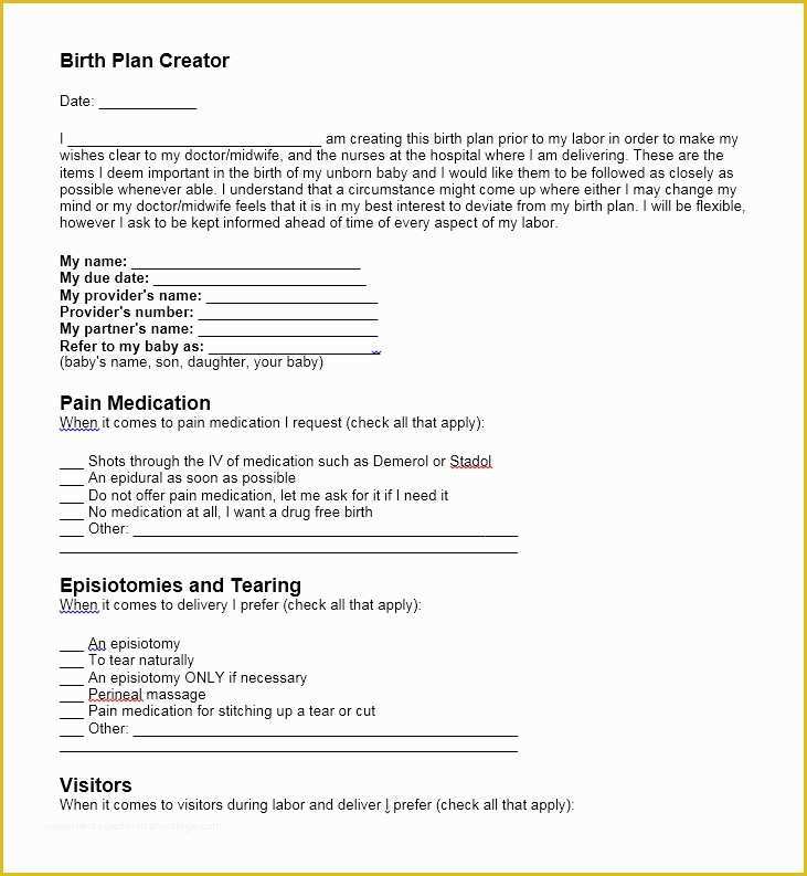 Birth Plan Template Free Of 47 Printable Birth Plan Templates [birth Plan Checklist