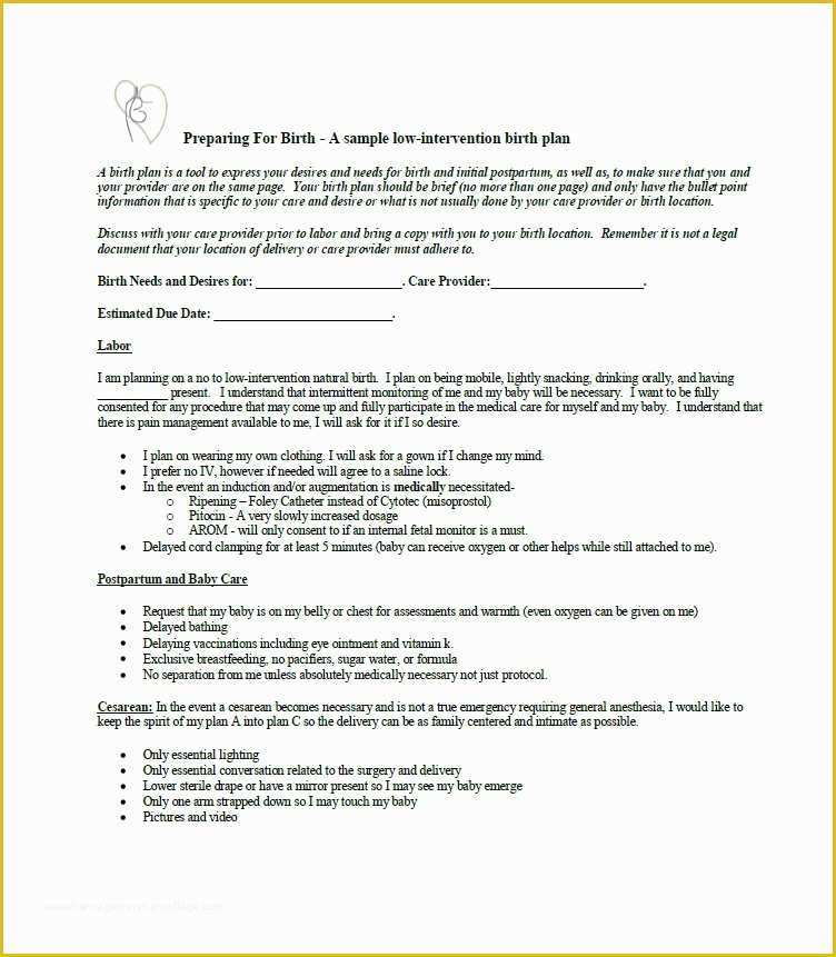 Birth Plan Template Free Of 47 Printable Birth Plan Templates [birth Plan Checklist