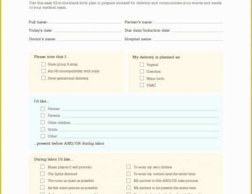 Birth Plan Template Free Of 47 Printable Birth Plan Templates [birth Plan Checklist