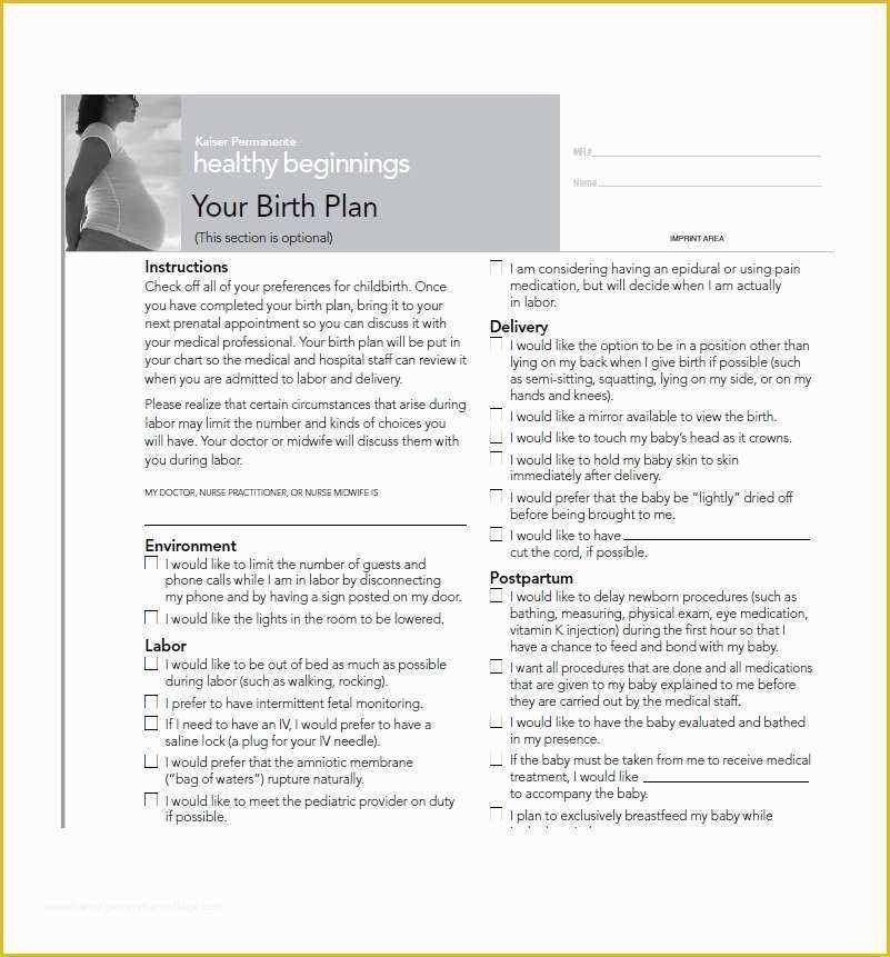 Birth Plan Template Free Of 47 Printable Birth Plan Templates [birth Plan Checklist