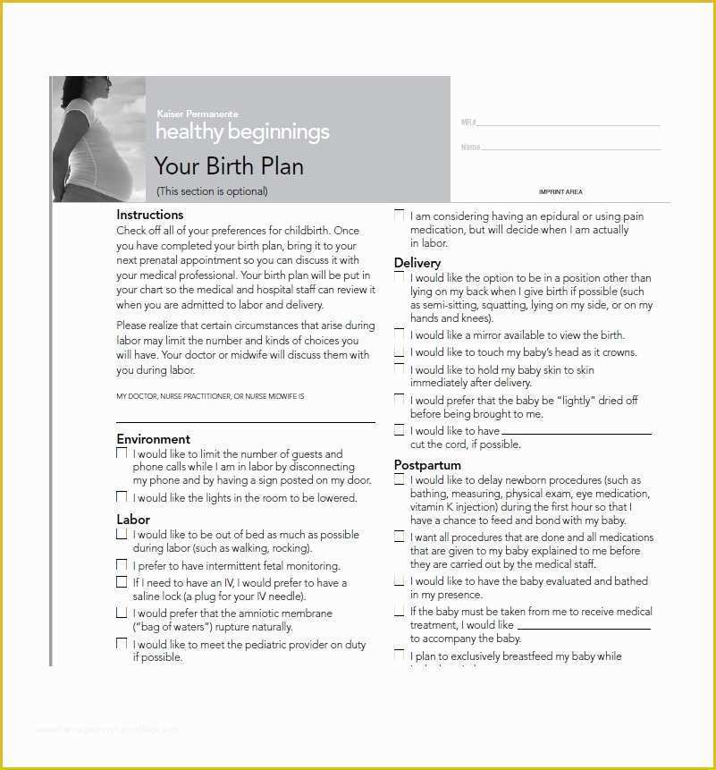 Birth Plan Template Free Of Items Similar to Printable Birth Plan ...