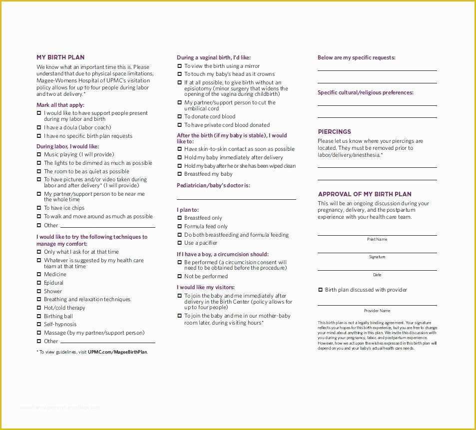 Birth Plan Template Free Of 47 Printable Birth Plan Templates [birth Plan Checklist