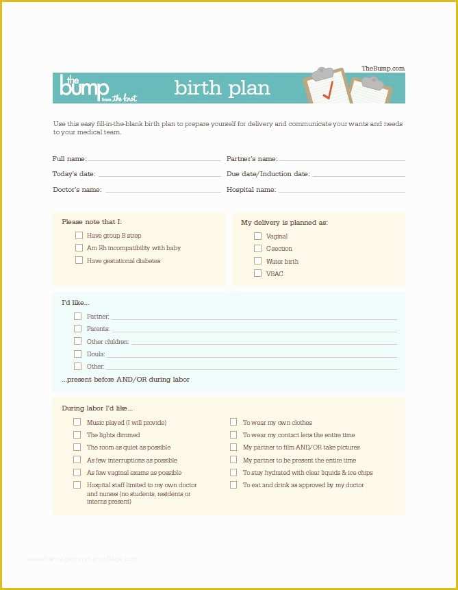 58 Birth Plan Template Free