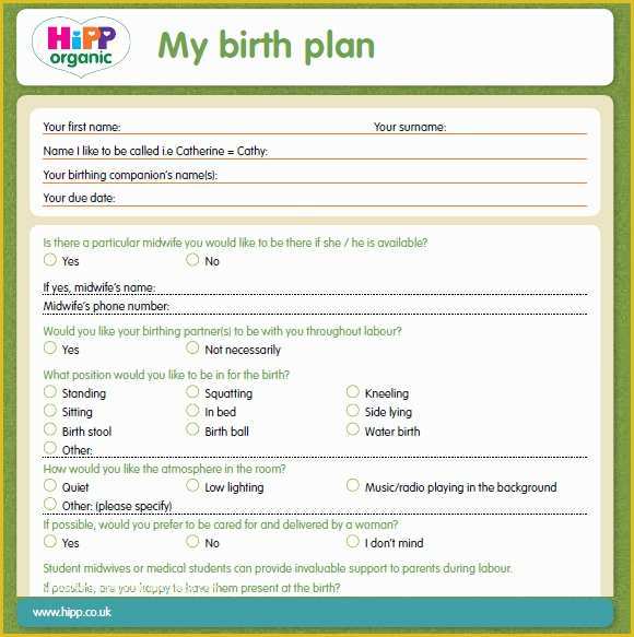 Birth Plan Template Free Of 9 Birth Plan Templates – Free Samples Examples &amp; format