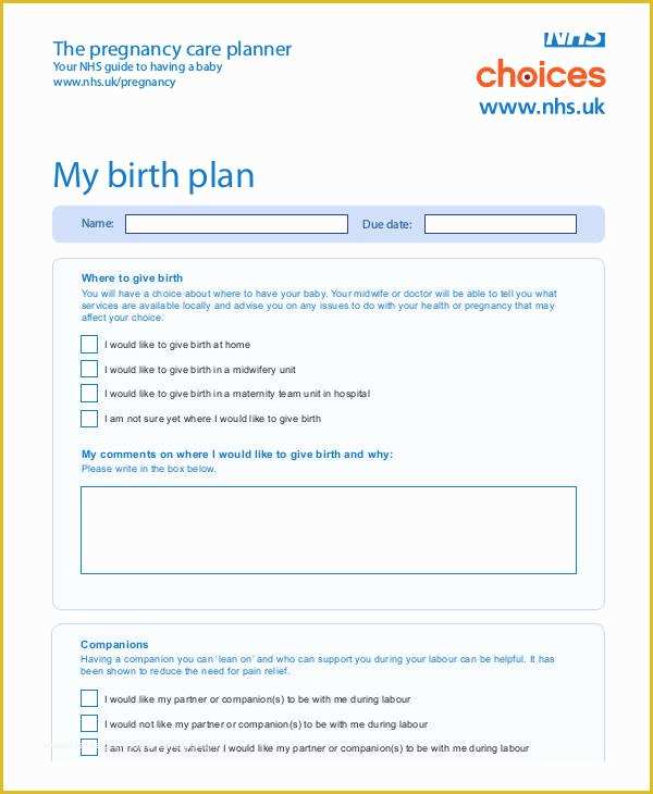 Birth Plan Template Free Of Birth Plan Template 16 Free Word Pdf Documents