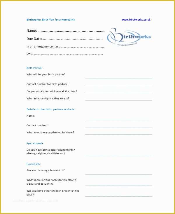 Birth Plan Template Free Of Birth Plan Template 16 Free Word Pdf Documents