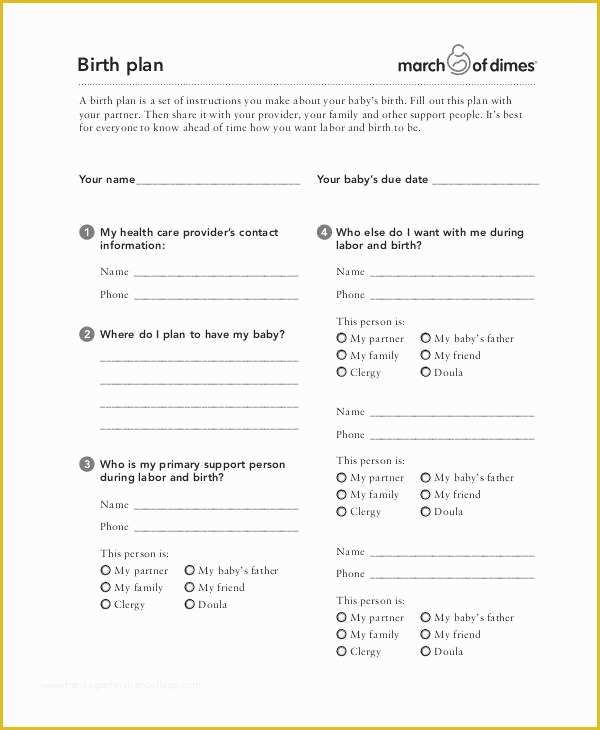 Birth Plan Template Free Of Birth Plan Template 16 Free Word Pdf Documents