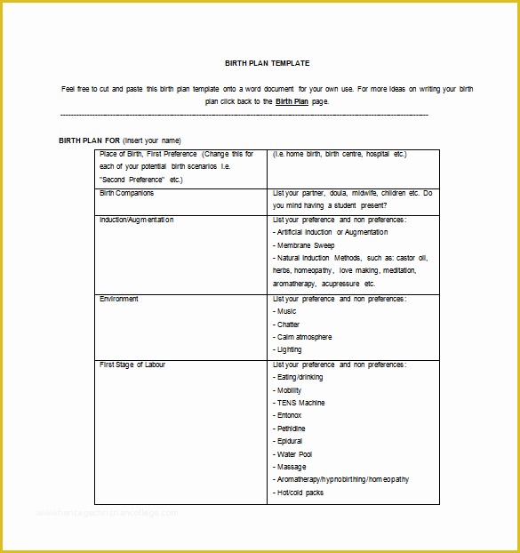 Birth Plan Template Free Of Birth Plan Template 4 Free Pdf Documents Download