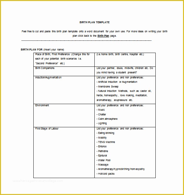 Birth Plan Template Free Of Birth Plan Template 4 Free Pdf Documents Download