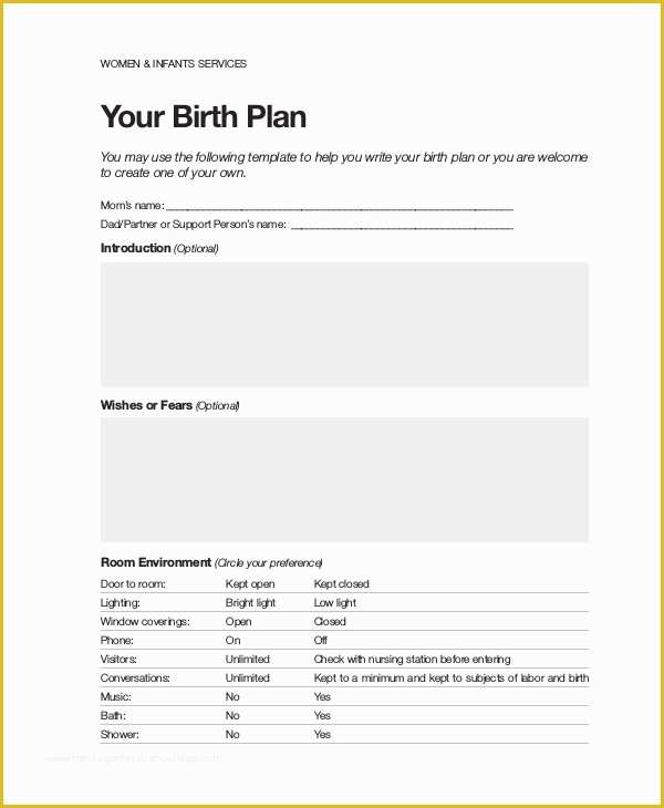 Birth Plan Template Free Of Birth Plan Template 9 Free Word Pdf Documents Download