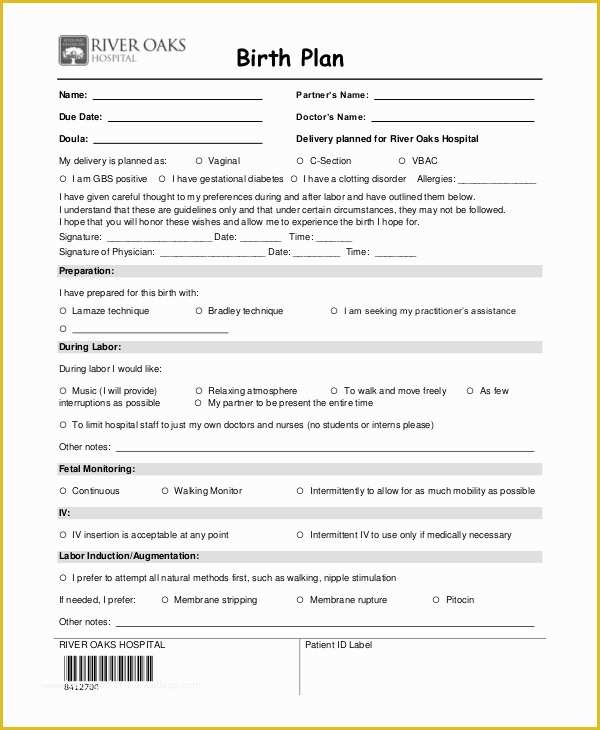 Birth Plan Template Free Of Birthing Plan Template