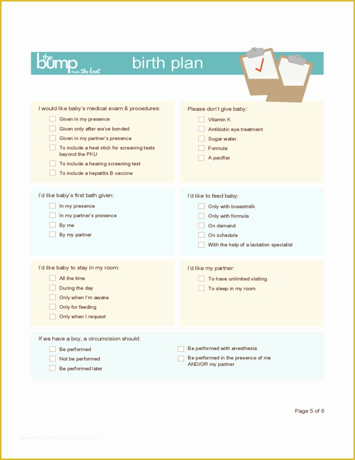 Birth Plan Template Free Of Items Similar to Printable Birth Plan ...