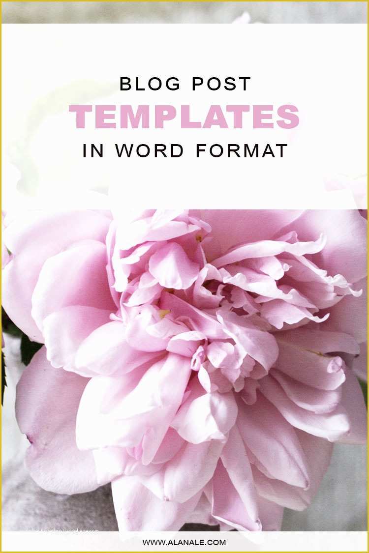 Blog Post Template Free Of Blog Post Templates In Word format – Alana Le