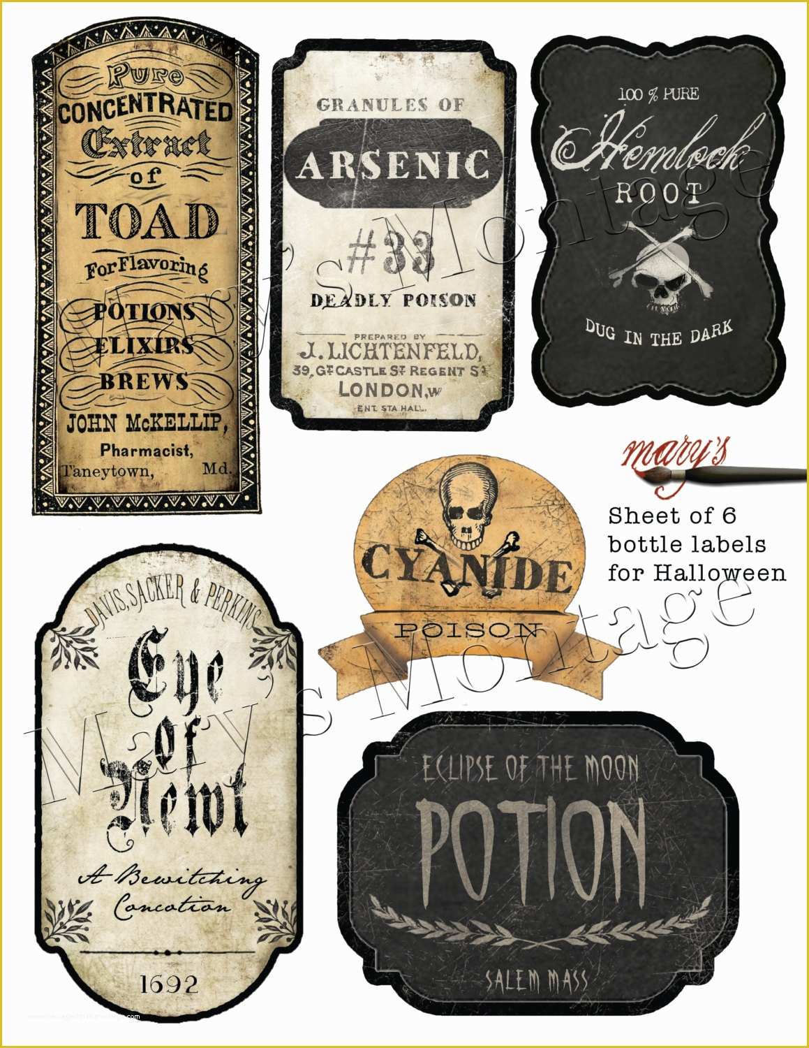 Bottle Label Template Free Of Halloween Bottle Label Templates Free – Festival Collections