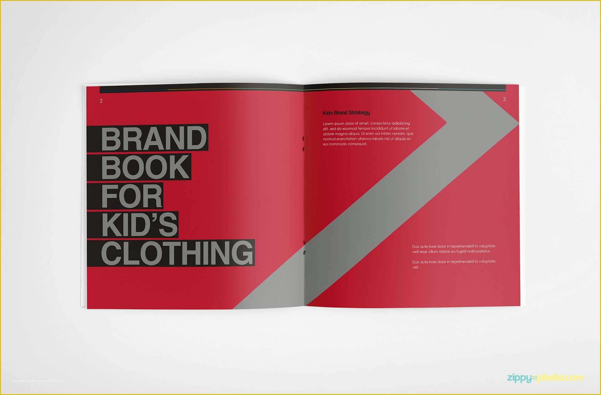Brand Book Template Free Of Brand Identity Guidelines Template Brandbook