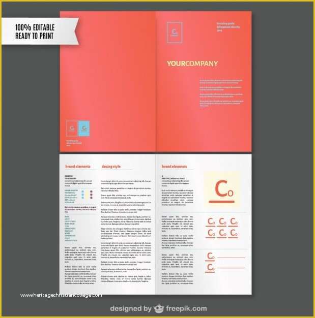 Brand Book Template Free Of Brand Style Guide Template Vector