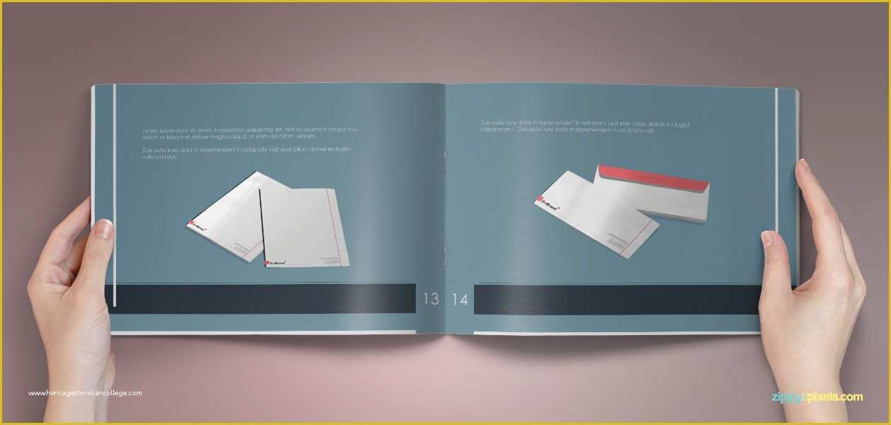 Brand Book Template Free Of Bundle Of 10 Brand Book Templates From Zippy