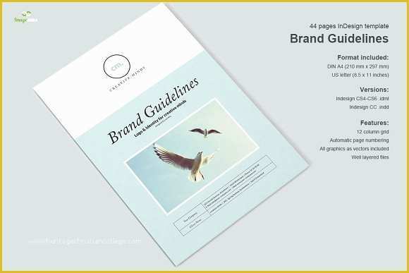 Brand Guidelines Template Indesign Free Of Brand Guidelines Brochure Templates Creative Market