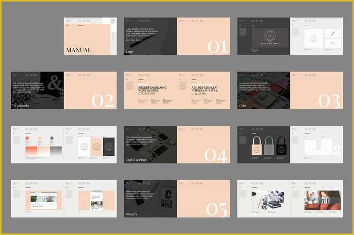 Brand Manual Template Free Of Brand Manual Template Palermo