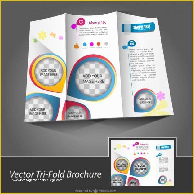 Brochure Layout Templates Free Download Of Brochure Template Free for Vector